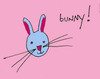 Bunny_1