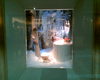 Tiffanys_shop_window